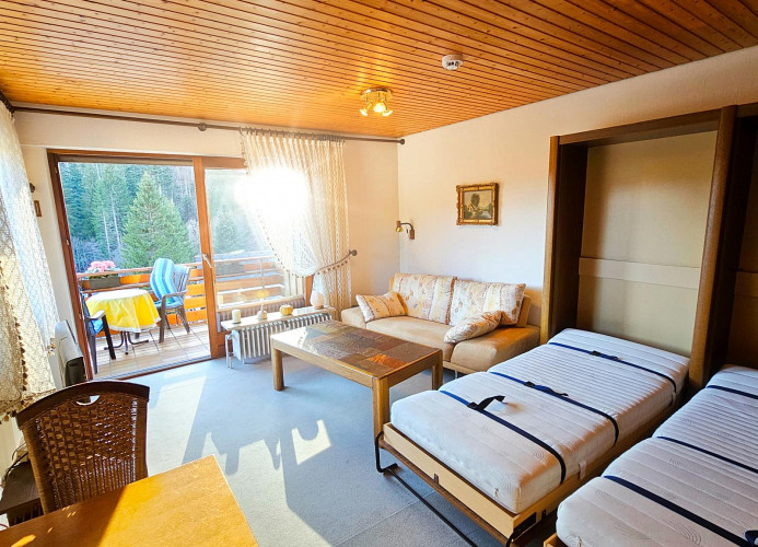 Apartment Traumblick mit Balkon Todtmoos 