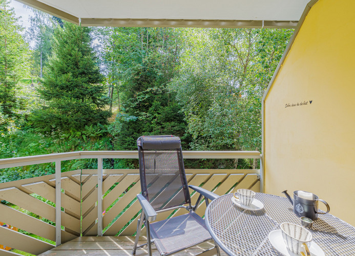 Ferienwohnung s´Bächle mit Balkon - Mein SWH