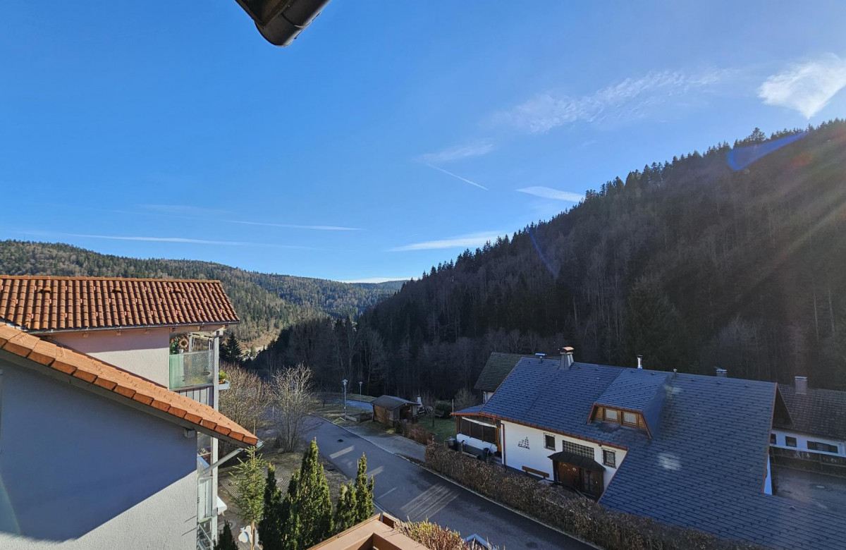 Apartment Traumblick mit Balkon Todtmoos 