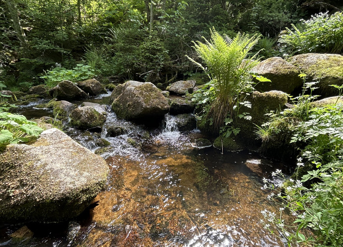 Ferienwohnung „Schwarzwaldtraum' – Maisonette mit zwei Terrassen & Panoramabalkon im Schwarzwald