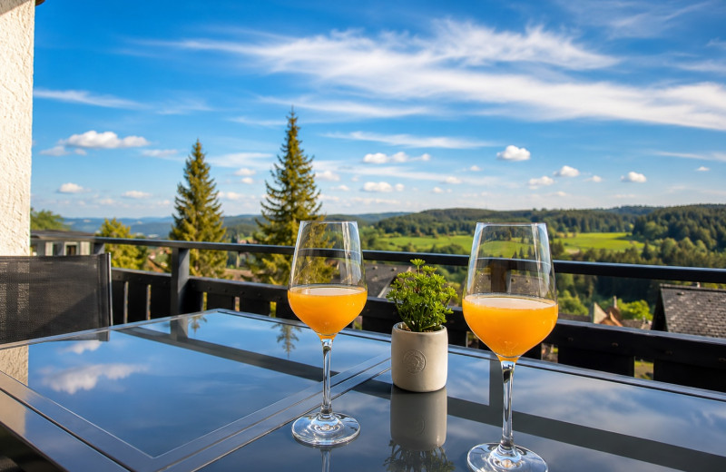 Ferienwohnung Schwarzwaldtraum – Maisonette mit zwei Terrassen & Panoramabalkon im Schwarzwald