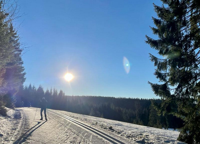 Ferienwohnung „SchwarzwaldnACHT“ – Ruhe & Natur in Todtnauberg - Mein SWH