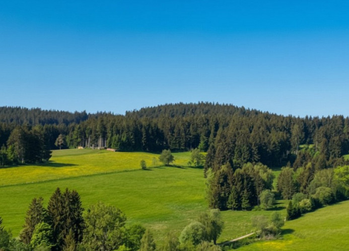 Ferienwohnung Schwarzwaldtraum – Maisonette mit zwei Terrassen & Panoramabalkon im Schwarzwald