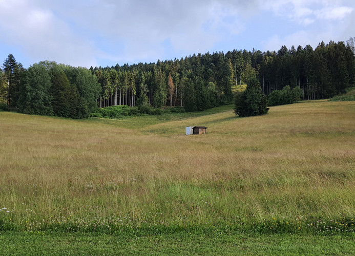 Ferienwohnung Seeblick mit Balkon - Mein Schwarzwaldhäusle