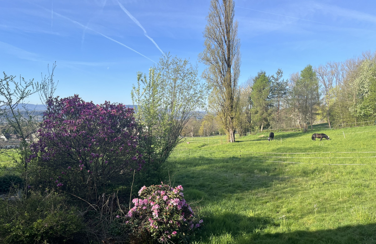 Ferienhaus Koppelblick - Mein SWH