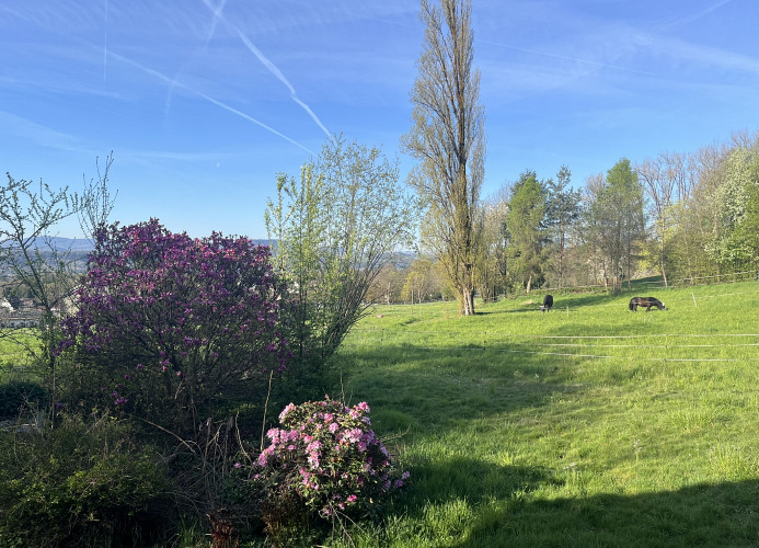 Ferienhaus Koppelblick - Mein SWH