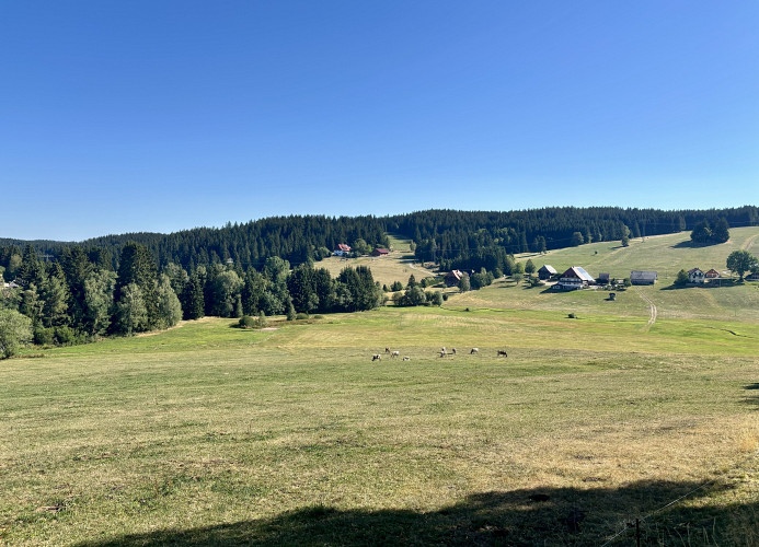 PEAKS & PINES SCHÖNWALD | Sauna + Pool