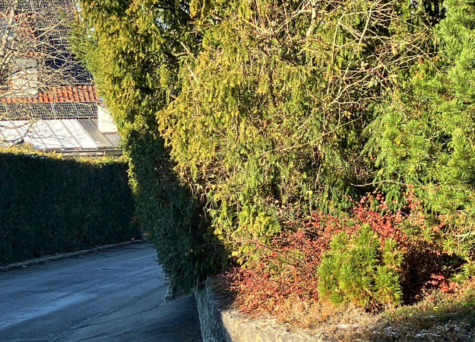 Ferienwohnung Götz mit Terrasse - Bad Liebenzell - Mein SWH