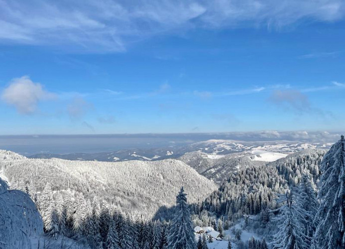 Ferienwohnung „SchwarzwaldnACHT“ – Ruhe & Natur in Todtnauberg - Mein SWH
