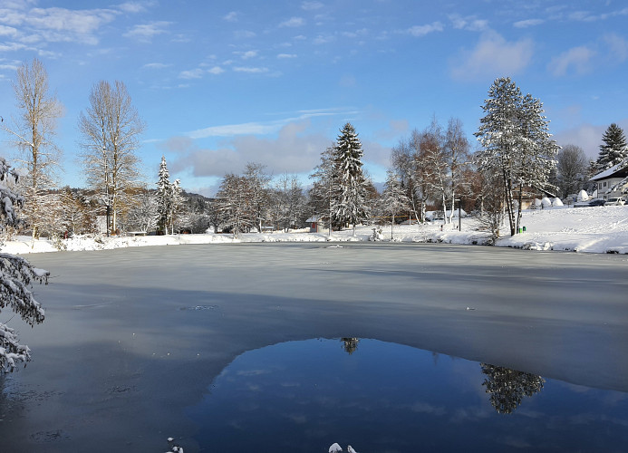 Ferienwohnung Seeblick mit Balkon - Mein Schwarzwaldhäusle