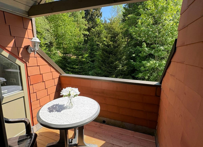 Bergrauschen-Residenz XXL – mit Zauberküche & Balkon am Wildbach