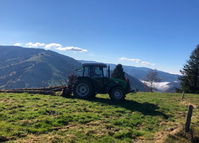Ferienwohnung „SchwarzwaldnACHT“ – Ruhe & Natur in Todtnauberg - Mein SWH