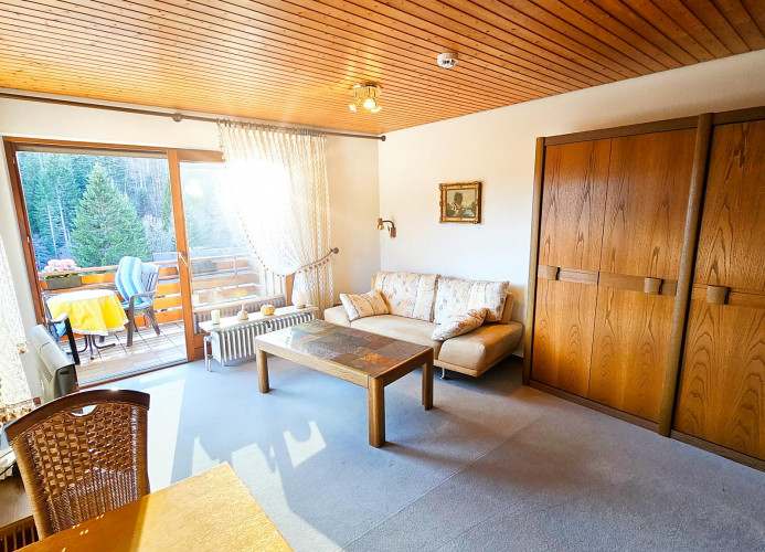 Apartment Traumblick mit Balkon Todtmoos 