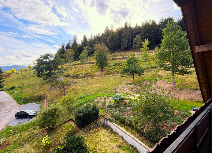 Gästehaus Waldruhe – Großes Ferienhaus für Gruppen & Familien