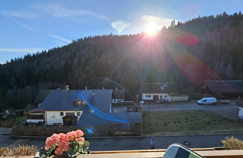 Apartment Traumblick mit Balkon Todtmoos 