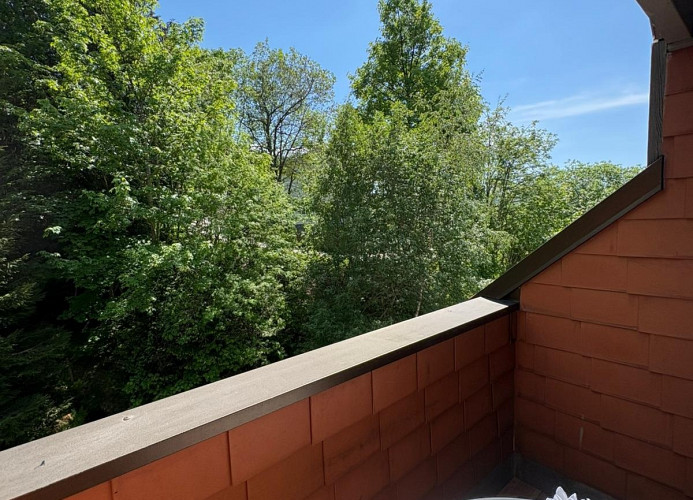 Bergrauschen-Residenz XXL – mit Zauberküche & Balkon am Wildbach