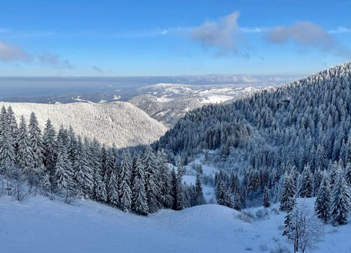 Ferienwohnung „SchwarzwaldnACHT“ – Ruhe & Natur in Todtnauberg - Mein SWH