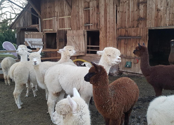 Ferienwohnung Götz mit Terrasse - Bad Liebenzell - Mein SWH