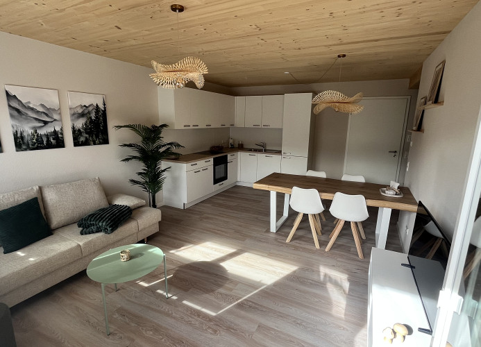 Apartment See mit Balkon und Naturblick in Herrischried – Mein SWH