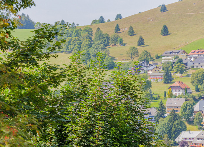 Ferienwohnung s´Bächle mit Balkon - Mein SWH
