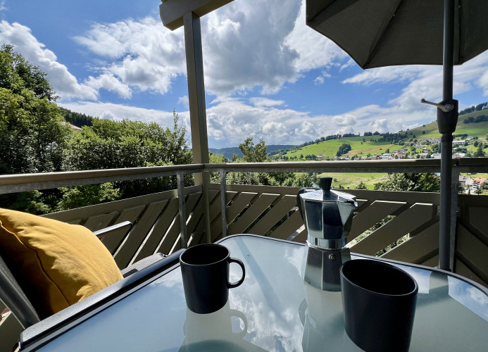 Ferienwohnung Glückauf 1040 - Todtnauberg 