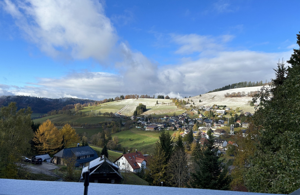 Ferienwohnung Naturverliebt im Schwarzwald - mit Sauna und Panoramabalkon, direkt an Skipiste und Wanderwegen