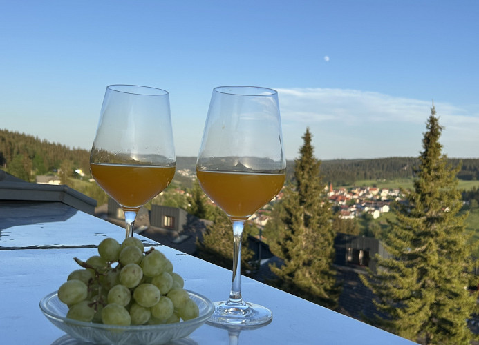 Ferienwohnung „Schwarzwaldtraum' – Maisonette mit zwei Terrassen & Panoramabalkon im Schwarzwald