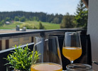 Ferienwohnung 'Waldblick' mit Balkon und Dachterrasse mit traumhaftem Südblick - Mein SWH