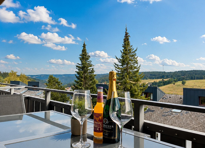 Ferienwohnung Schwarzwaldtraum – Maisonette mit zwei Terrassen & Panoramabalkon im Schwarzwald