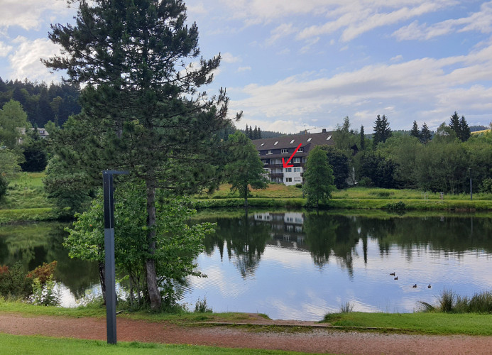 Ferienwohnung Seeblick mit Balkon - Mein Schwarzwaldhäusle