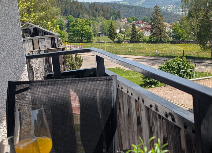  Ferienwohnung 'Waldblick' mit Balkon und Dachterrasse mit traumhaftem Südblick - Mein SWH