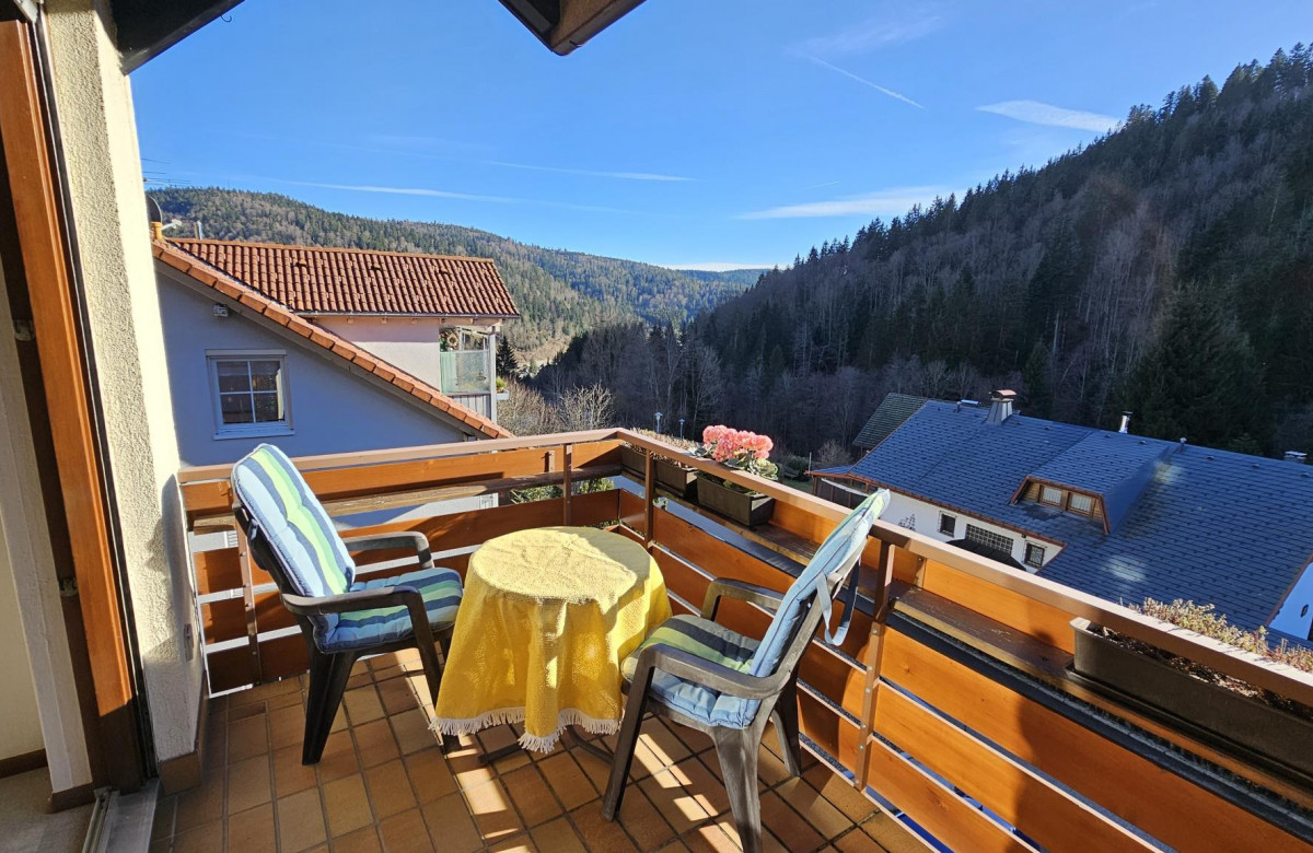 Apartment Traumblick mit Balkon Todtmoos 