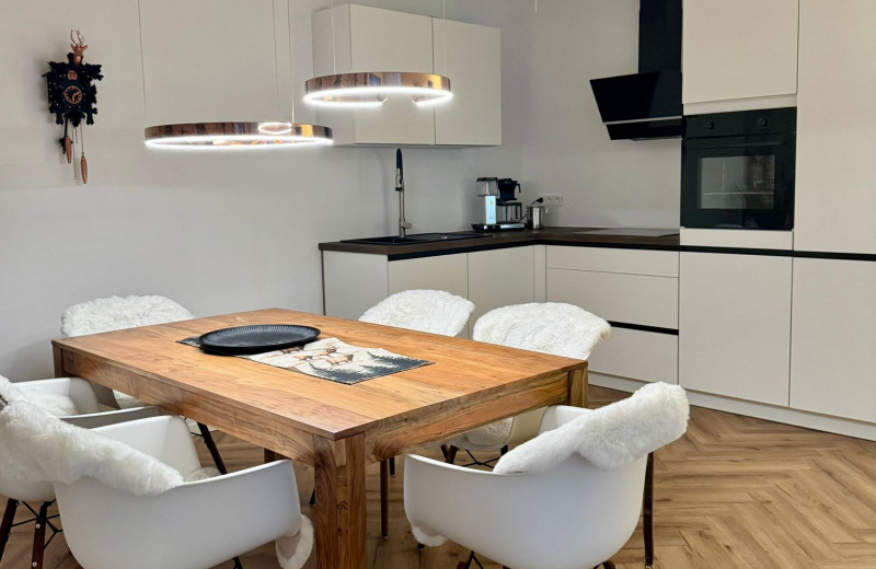 Todtie-Lounge mit Balkon und Bergblick in Todtnauberg – Mein SWH