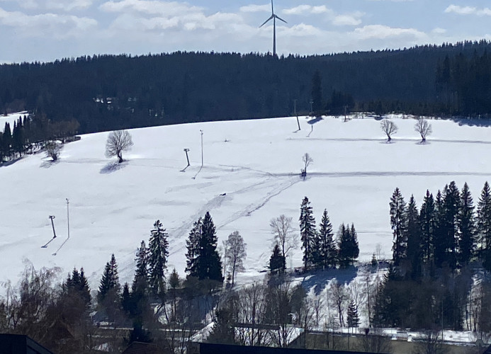 Ferienwohnung „Schwarzwaldtraum' – Maisonette mit zwei Terrassen & Panoramabalkon im Schwarzwald