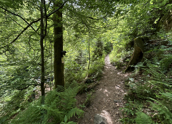 Ferienwohnung „Schwarzwaldtraum' – Maisonette mit zwei Terrassen & Panoramabalkon im Schwarzwald