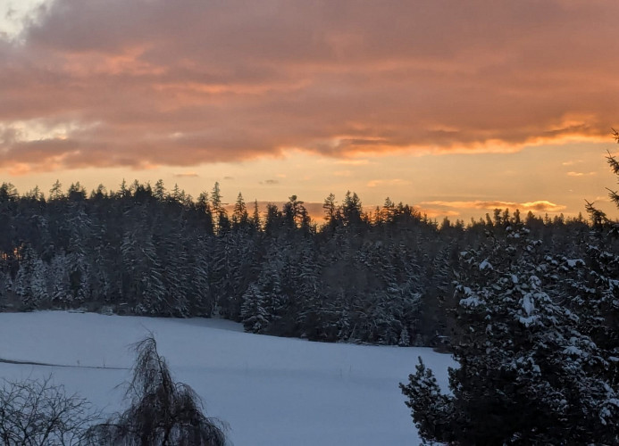 Ferienwohnung 'Waldblick' mit Balkon und Dachterrasse mit traumhaftem Südblick - Mein SWH