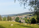  Ferienwohnung 'Waldblick' mit Balkon und Dachterrasse mit traumhaftem Südblick - Mein SWH
