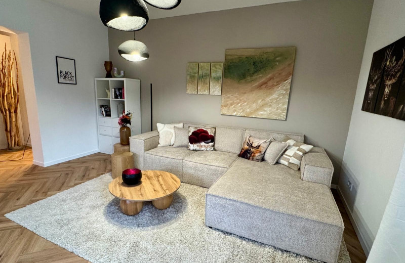 Todtie-Lounge mit Balkon und Bergblick in Todtnauberg – Mein SWH